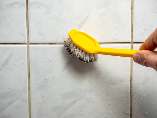 Best Residential Mold Remediation in Garden City, MO