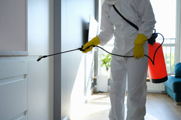 Best Mold Remediation for Schools in Garden City, MO