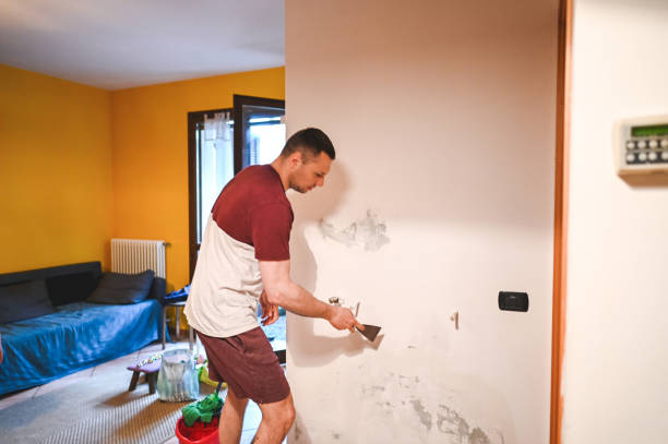 Best Industrial Mold Remediation in Garden City, MO